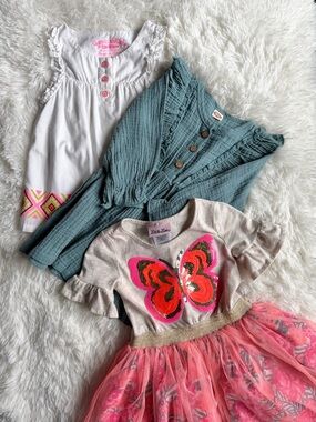 2/3T Girls Pink Butterfly Tulle Dress, Teal Cotton Dress & White Top Bundle